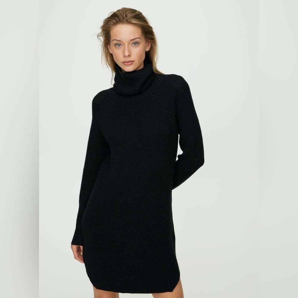 Aritzia Wilfred Free Bianca Dress